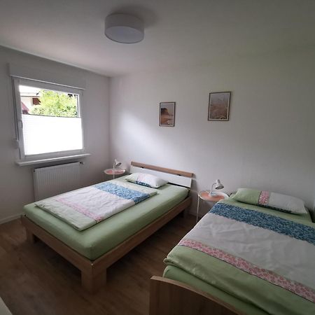 Ferienwohnung Blick Rappenstein Hausen am Tann Eksteriør billede