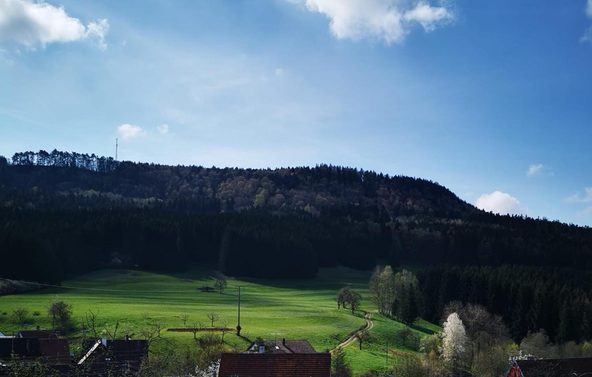 Ferienwohnung Blick Rappenstein Hausen am Tann Eksteriør billede